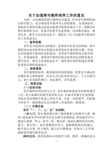 关于加强青年教师培养工作的意见