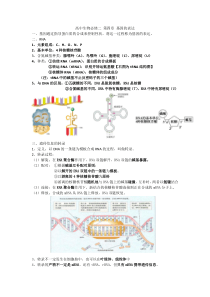 高中生物必修二-第四章-基因的表达