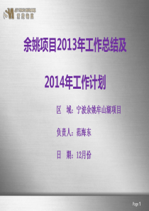 12余姚项目X年工作总结及X年计划汇编