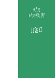 IT治理规划报告