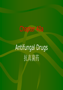 40a-Antifungal-Drugs