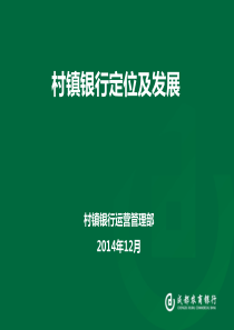 01村镇银行定位及发展-陈鲲