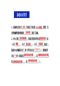 DNA分子的结构——碱基的计算