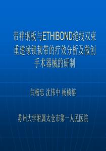 带袢钢板与ETHIBOND缝线双束1