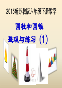 新苏教版六年级数学下册《圆柱圆锥整理与练习(1)》