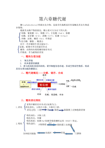 生物化学糖代谢知识点总结