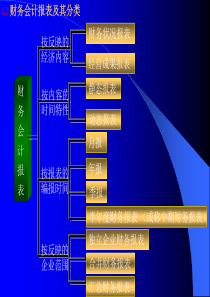 财务会计报表及其分类