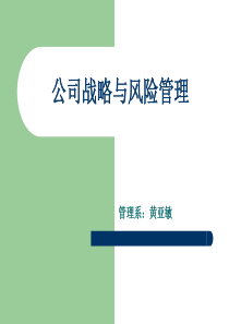 12市场营销本科公司风险与战略管理最新讲义