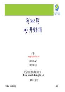 Sybase IQ SQL开发指南_v1.1