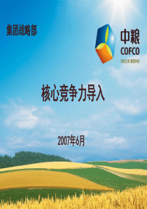 中粮集团构建核心竞争力模板,宁高宁董事长倾情奉献