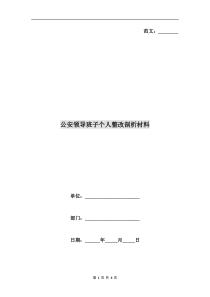 公安领导班子个人整改剖析材料