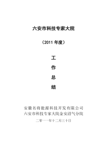 XXXX工作总结科技专家大院金安沼气分院