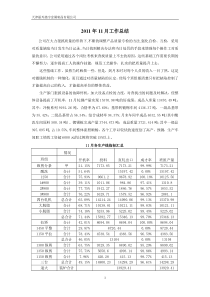 XXXX年11月工作总结