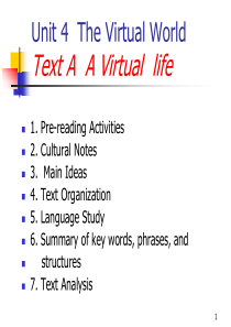 The Virtual World Text A  A Virtual  life