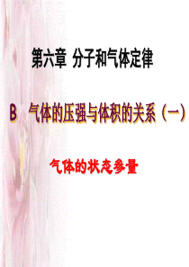 B(I)气体的状态参量