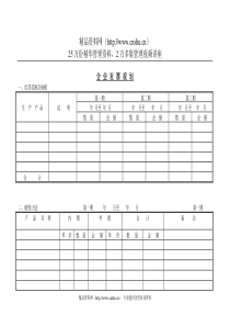 08企业发展规划