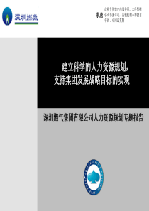 深圳燃气集团有限公司人力资源规划专题报告