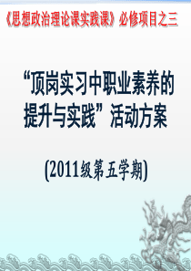 2011级顶岗实习中职业素养的提升与实践活动方案-1稿