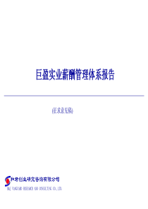 巨盈实业薪酬框架报告