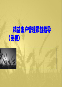 精益生产管理最新指导(免费)