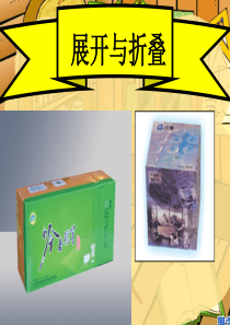 长方体和正方体的展开图TI