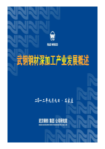 10-李立军-武钢钢材深加工产业发展概述