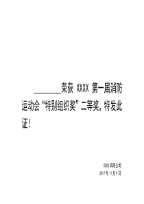 荣誉证书内容模板40-28.5