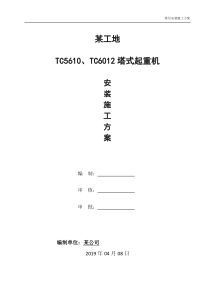 TC5610、TC6012塔吊安装方案