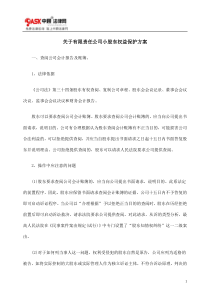 关于有限责任公司小股东权益保护方案