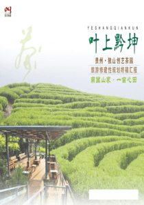 贵州独山创艺茶园修建性详细规划(128页)