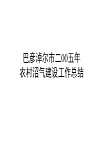 XXXX年巴彦淖尔市农村沼气建设工作总结