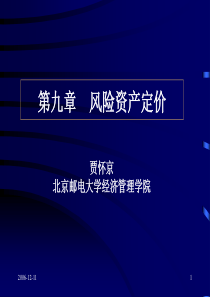 9第九章 风险资产定价