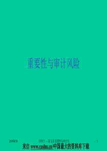 aan_重要性与审计风险(ppt 22)