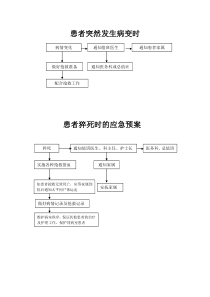 应急预案流程图