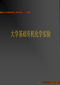 大学基础有机化学实验-课件-文档资料265页