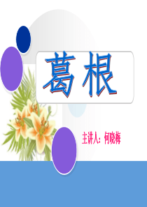 葛根课件