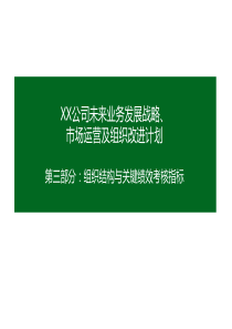 1007-公司未来业务发展战略、市场运营及组织改进计划