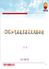 CNG业务风险识别XXXX0101