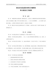 回天胶业：董事会审计委员会工作细则（XXXX年10月）