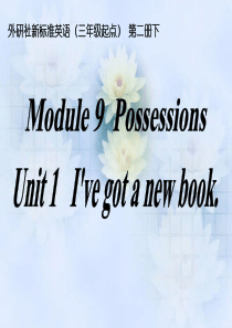 Module9 Possessions Unit1 Ive got a new book.