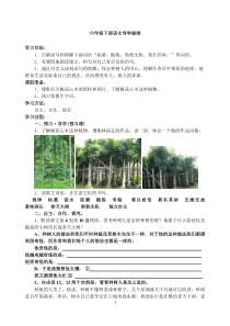 《桃花心木》导学案