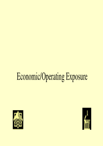 EconomicOperatingExposure(外汇风险)