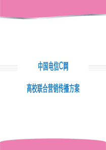 中国电信C网合作方案