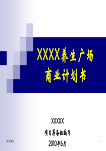 xx项目策划书-案例