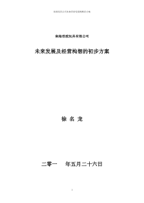 南海浩致玩具有限公司未来发展及经营构想的初步方案