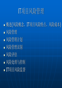 it项目风险管理