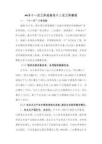 乡十一五工作总结及十二五工作规划