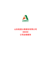 公司治理报告