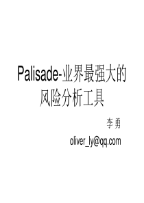 PALISADE-风险分析工具介绍2