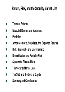 risk return and cost of capital风险回报和资本成本